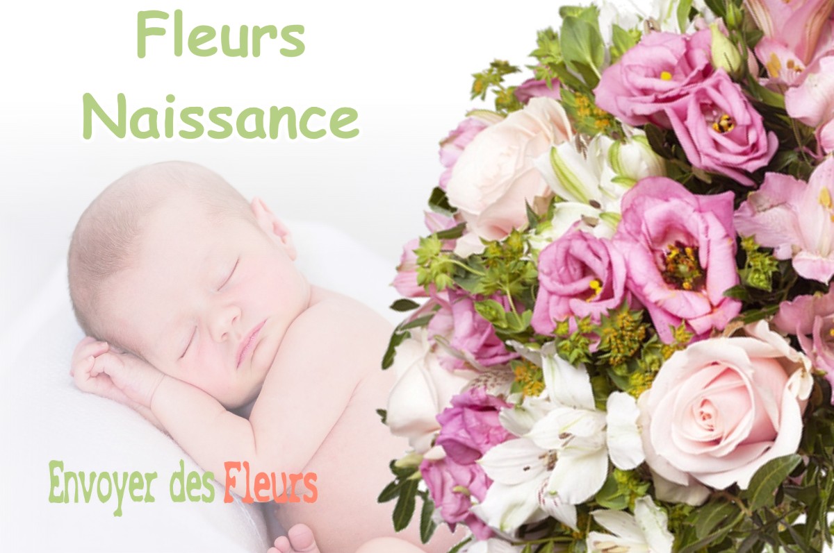 lIVRAISON FLEURS NAISSANCE à BONNY-SUR-LOIRE